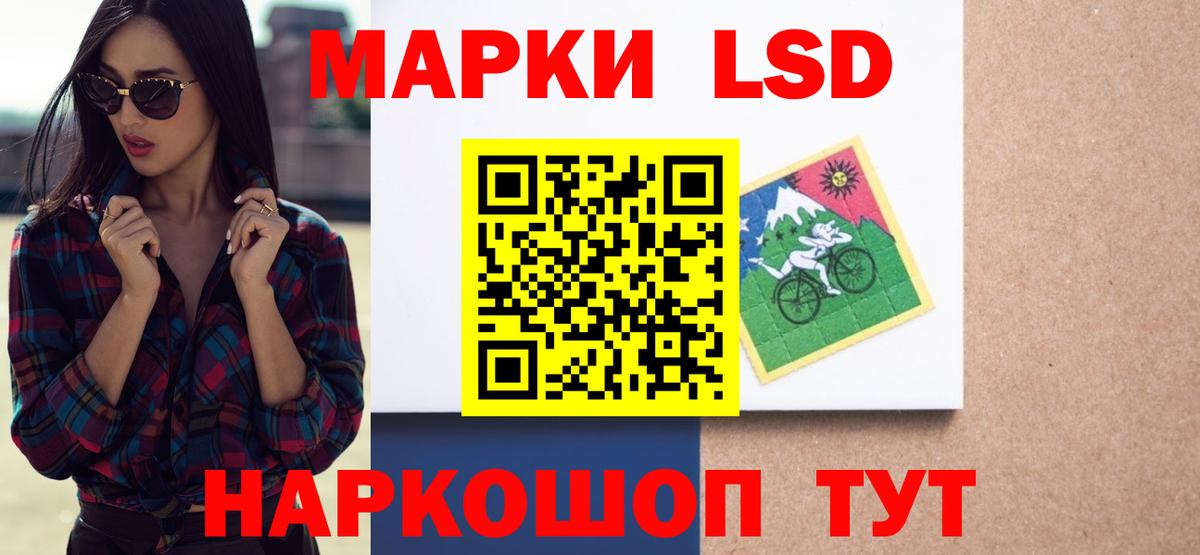 ЛСД экстази кислота  ЛСД экстази кислота  Лсд 25 экстази  Курчалой  Вход с VPN 