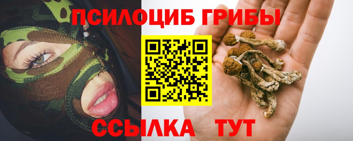 Галлюциногенные грибы мухоморы Курчалой