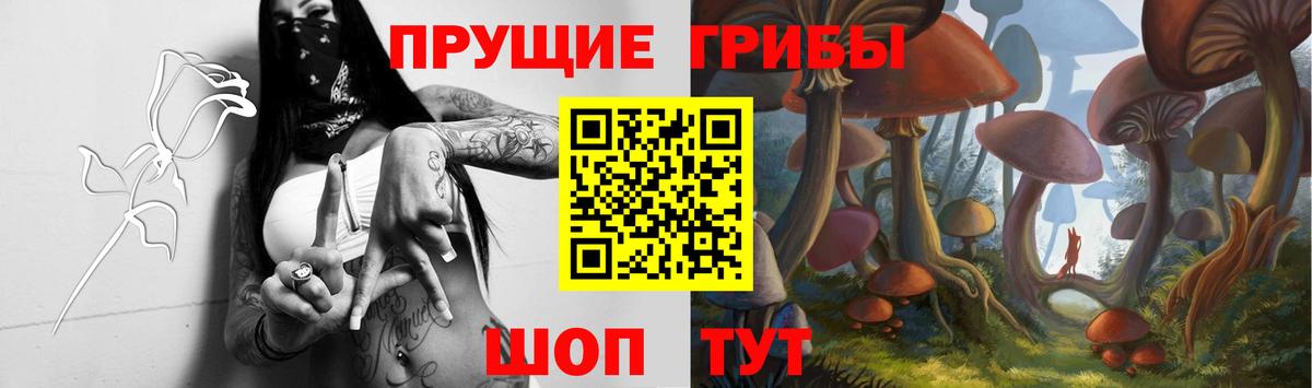 Курчалой  Галлюциногенные грибы ЛСД  Вход с VPN 